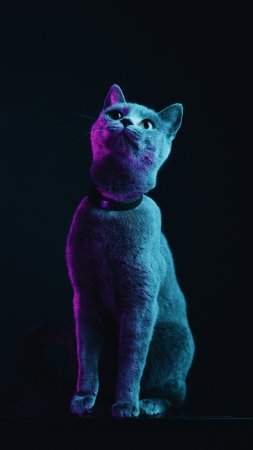 Котик неон