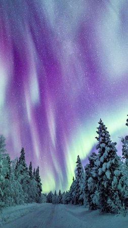 Aurora borealis — северное сияние