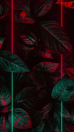 Неоновые обои на телефон