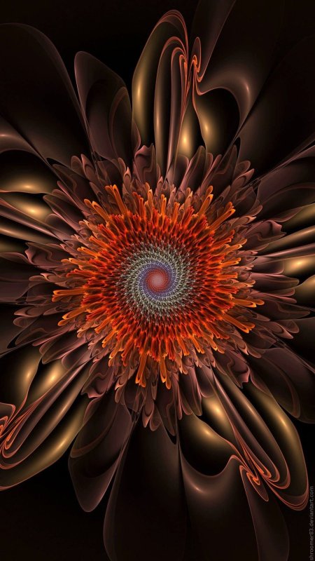 Фрактальная графика: цветы