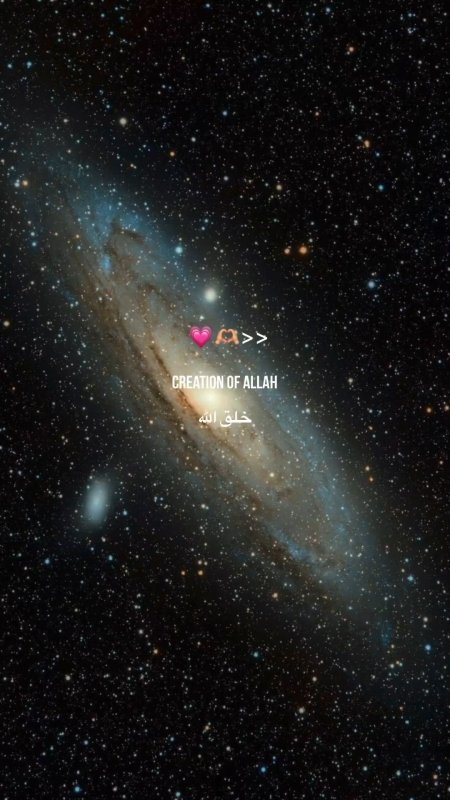 Галактика M31