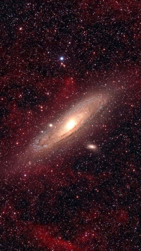 Спиральная галактика M31 (Андромеда)