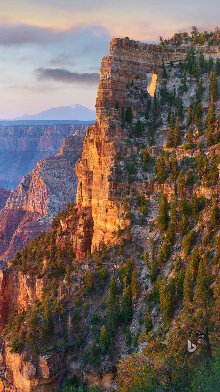 North rim of the grand canyon