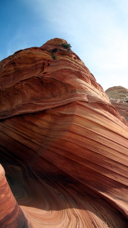 Paria canyon vermillion cliffs wilderness