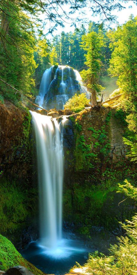 Silver falls state park