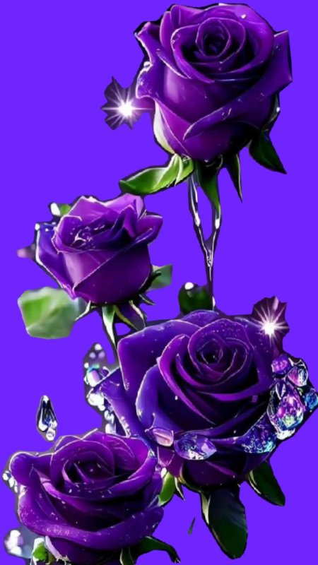 Фиолетовые розы анимированные