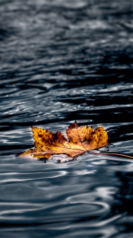 Вода мокрая