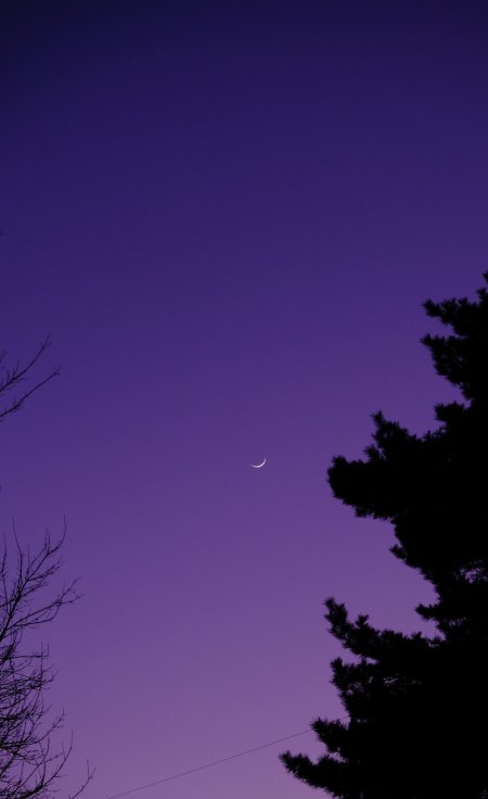 Purple moon