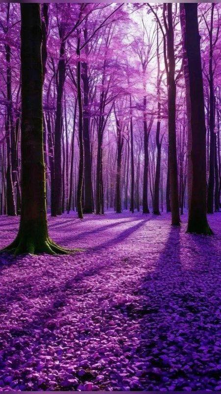 Фиолетовая природа