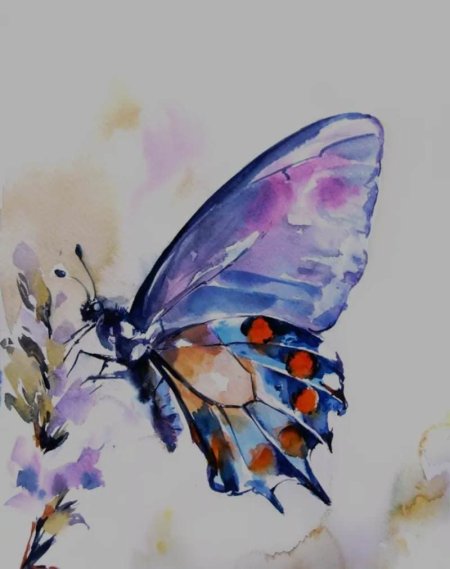Butterfly watercolor