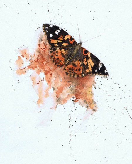 Watercolor butterfly