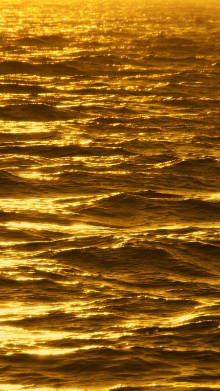 Золотое море