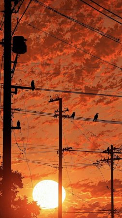 Orange sunset