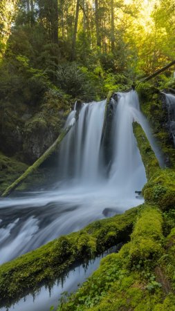 Fall creek falls
