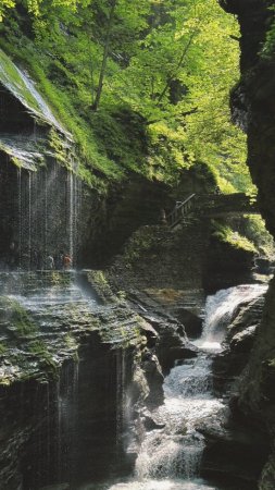 Watkins glen state park