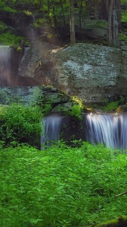 Лесной водопад