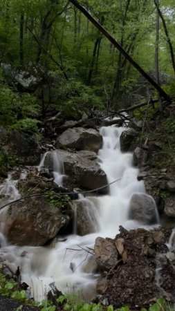 Смольные водопады анисимовка