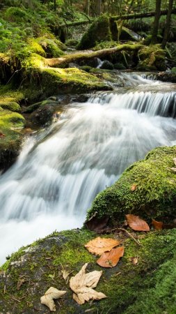 Каскад водопад