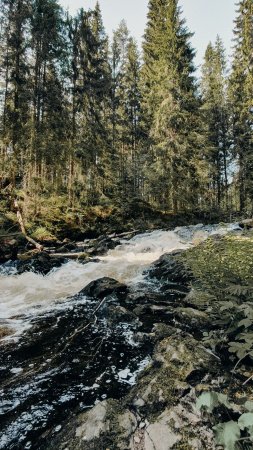 Река кереть карелия