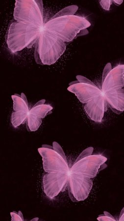 Pink butterfly