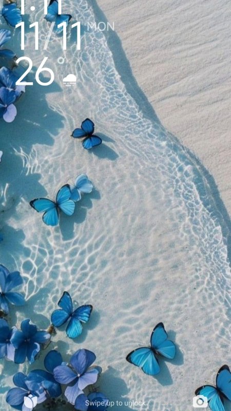 Blue butterflies wallpaper
