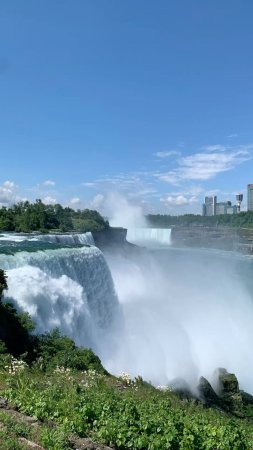 Ниагарский водопад и виктория