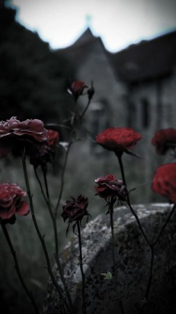 Gothic aesthetic