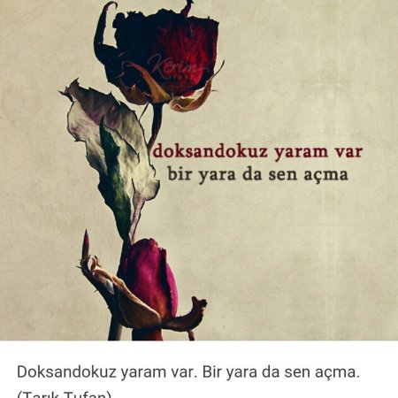 Özlü sözler