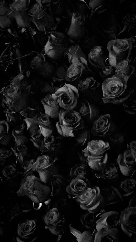 Black roses wallpaper