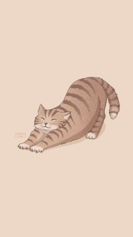 Иллюстрация кот