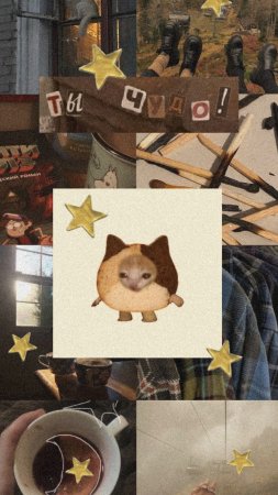 Котик печенька