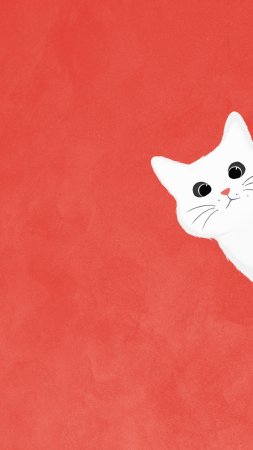 Фон с котиками