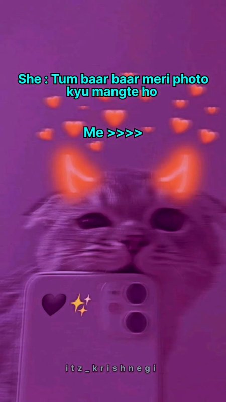 Котик с айфоном