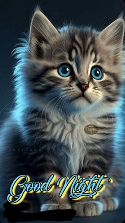 Милые котенок
