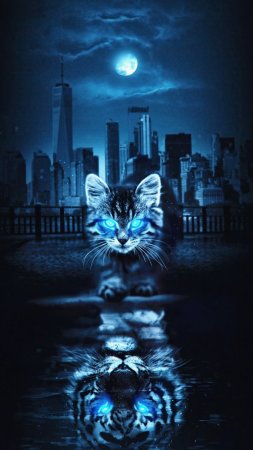 Неоновая кошка