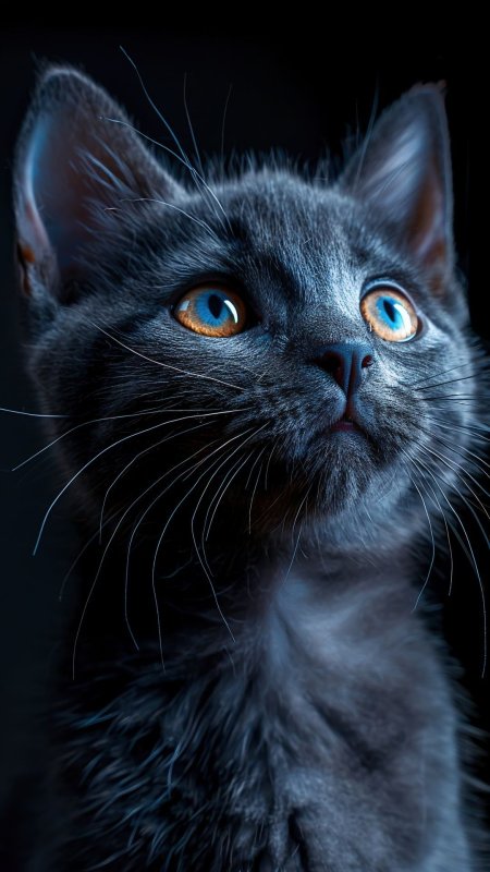 Русская голубая кошка