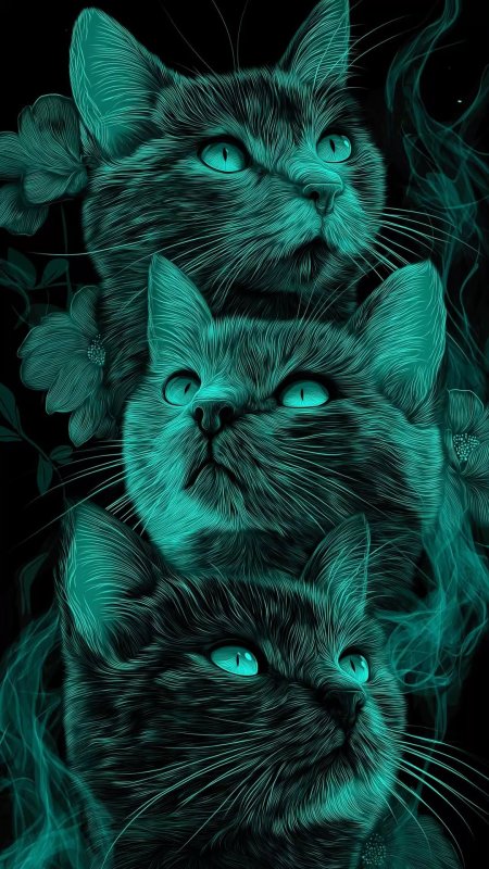 Чëрная кошка