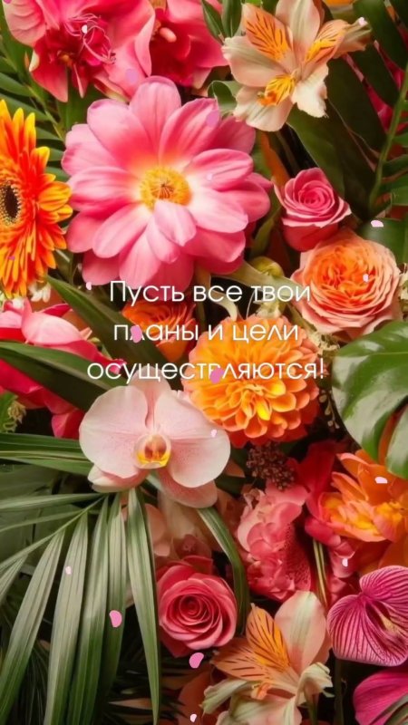 Красивая цветок