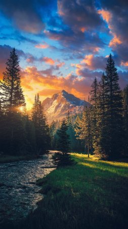 Пейзажи лес