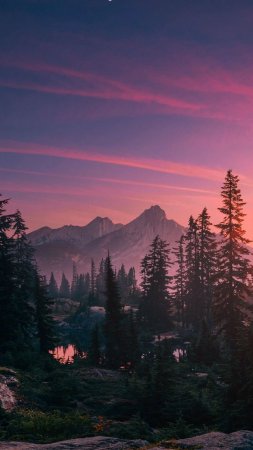 Фон пейзаж