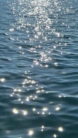 Солнечные блики на воде