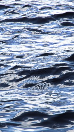 Волна воды