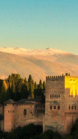 Alhambra of granada скачать фон 1424 x 2532
