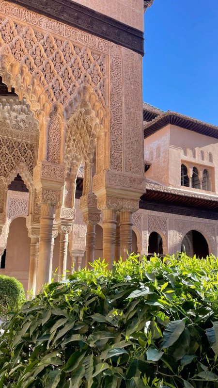 Alhambra granada скачать фон 1080 x 1920