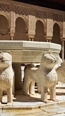 El patio de los leones скачать фон 1424 x 2532