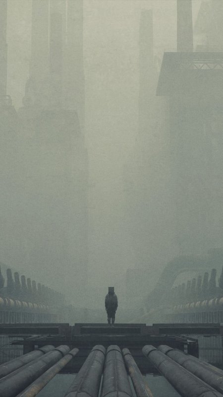 Coastal fog скачать фон 1080 x 1920