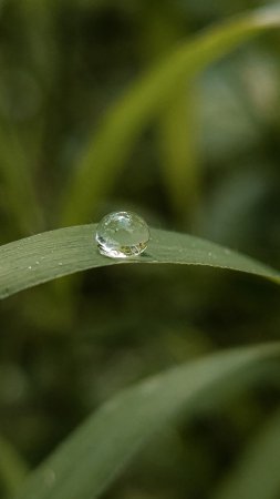 Вода капли