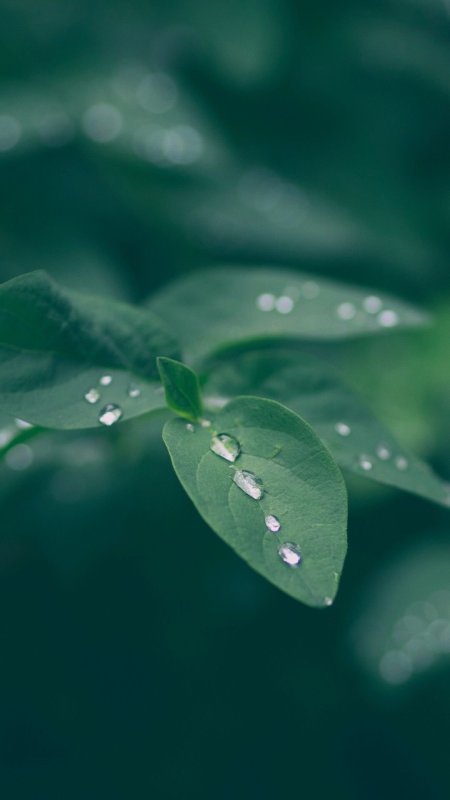 Капли воды