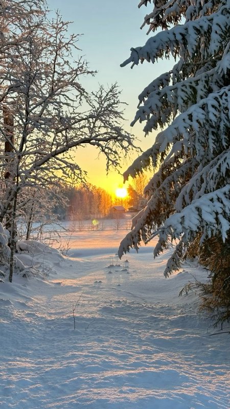 Winter solstice sunrise скачать фон 1080 x 1920