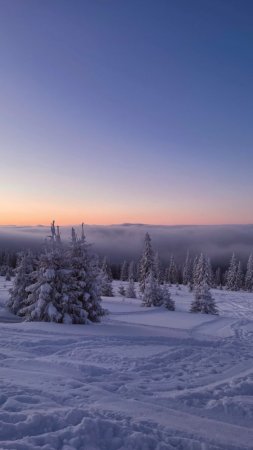 Закат зима скачать фон 720 x 1280